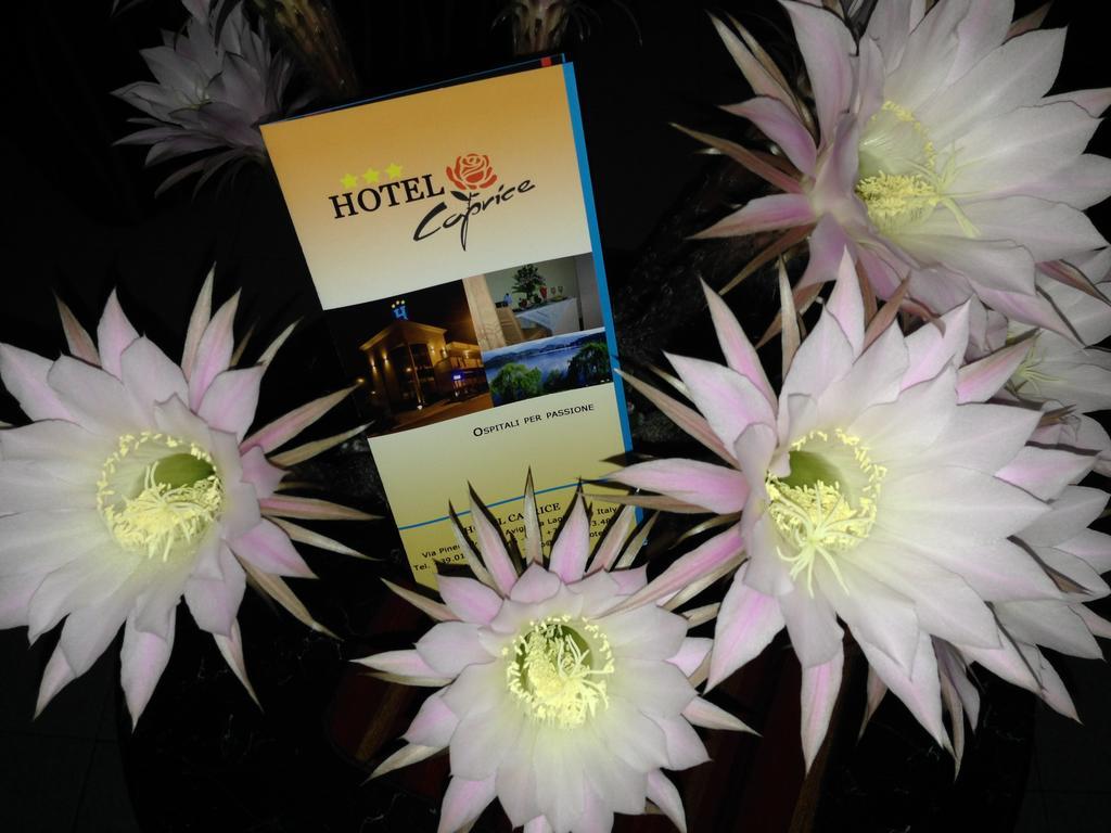 Caprice Hotel อาวิยานา ภายนอก รูปภาพ